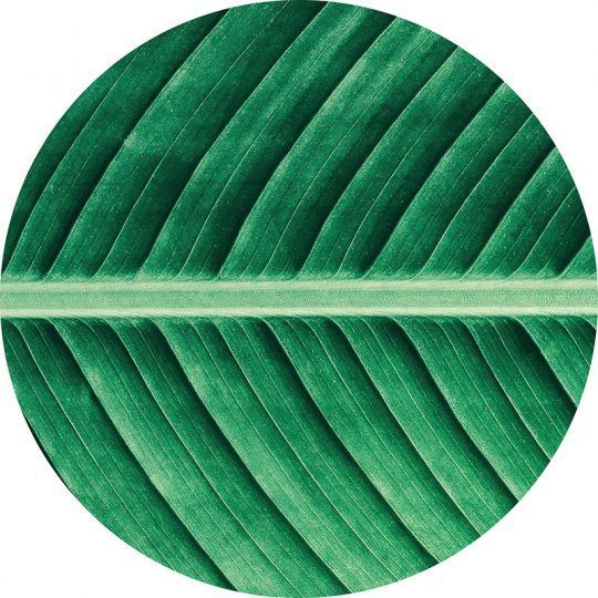 Alfombra Vinílica Redonda Leaf - 60x60 cm