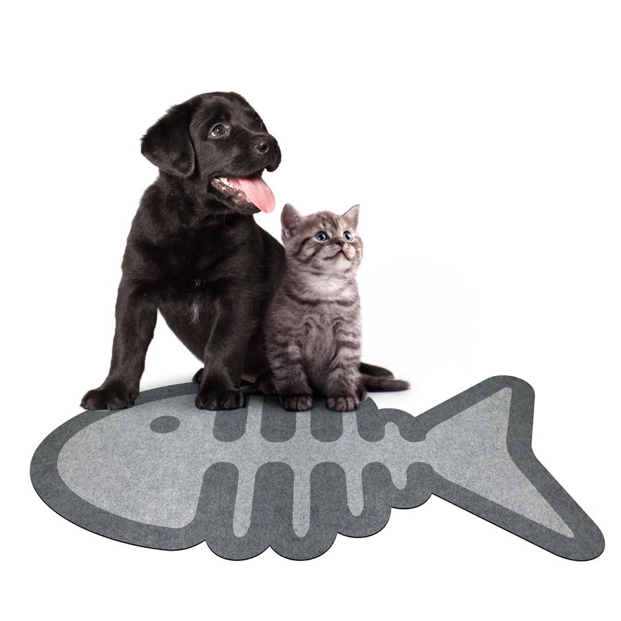 0029-LFOR-95X50-8945063960668.PT01