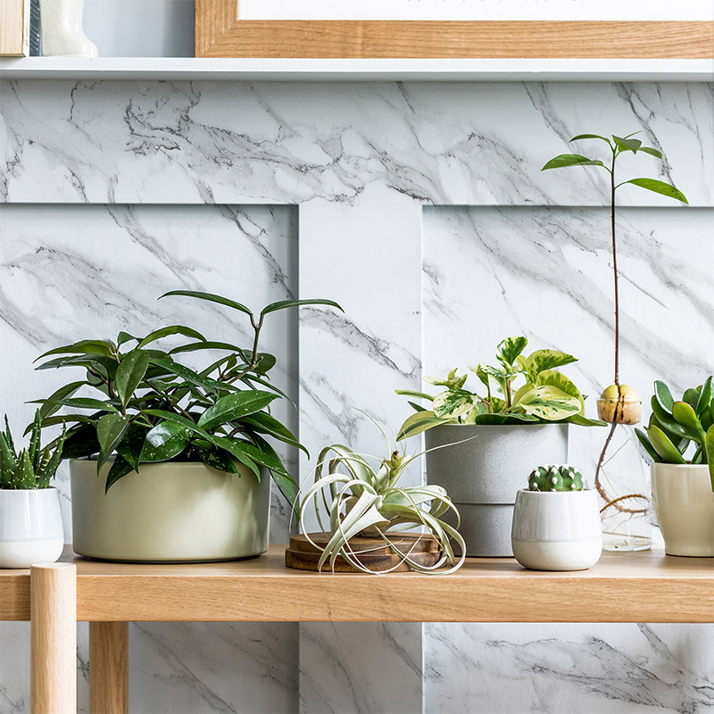 Interior,Design,Of,Living,Room,With,Wooden,Console,,Beautiful,Composition