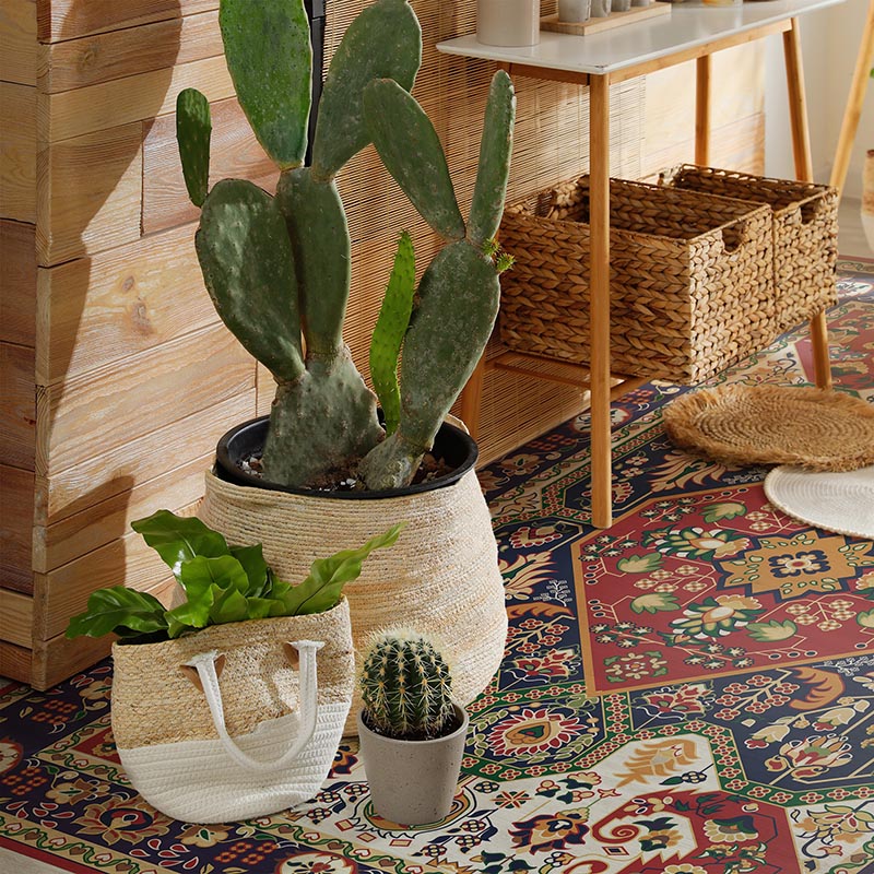 Modern,Room,Interior,With,Beautiful,Houseplants,And,Console,Table,Near