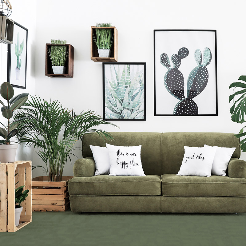 Interior,Of,Modern,Room,With,Comfortable,Sofa,And,Houseplants