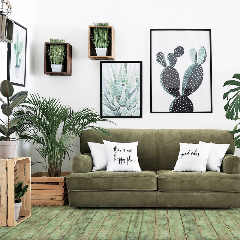 Interior,Of,Modern,Room,With,Comfortable,Sofa,And,Houseplants