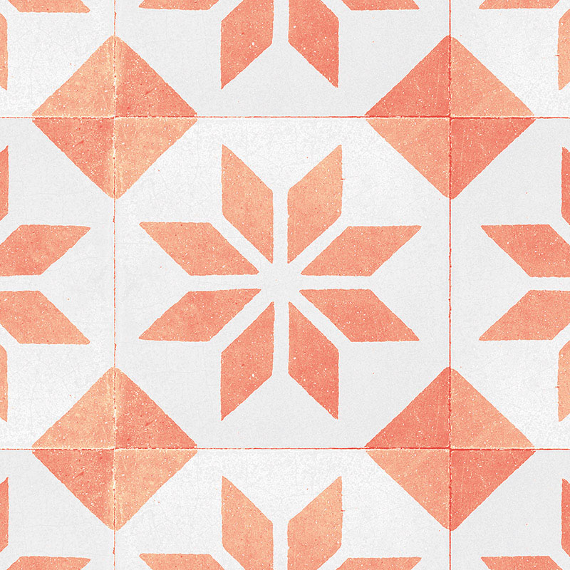 0125-LIN-GEO-295X195-8435617966975.PT03