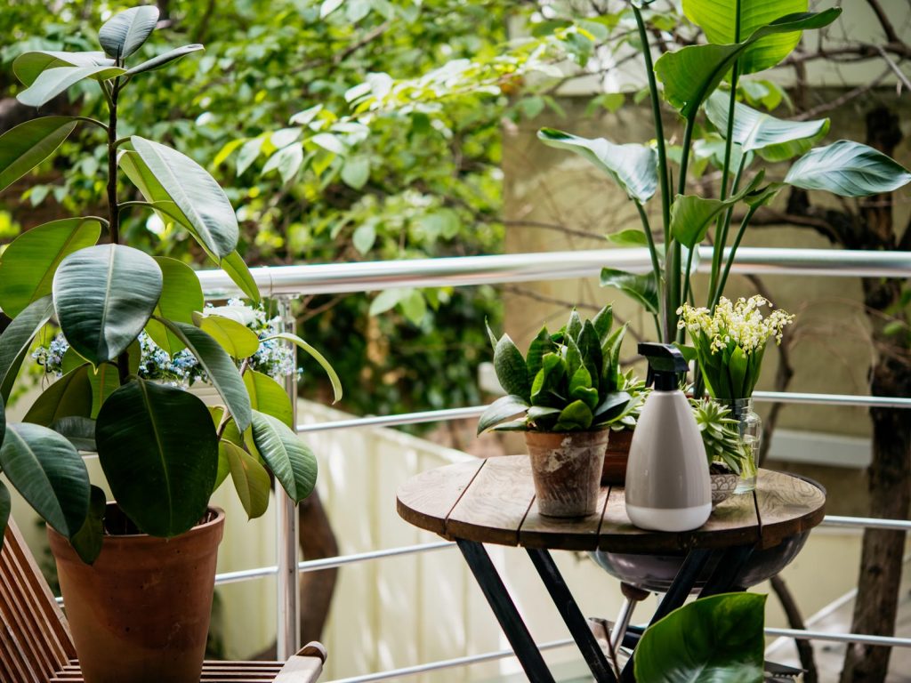 plantes terrasse