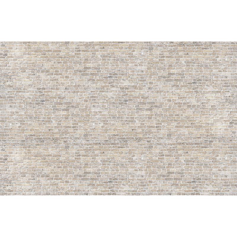 Tropical,Trees,And,Leaves,Wallpaper,Design,In,Foggy,Forest,-