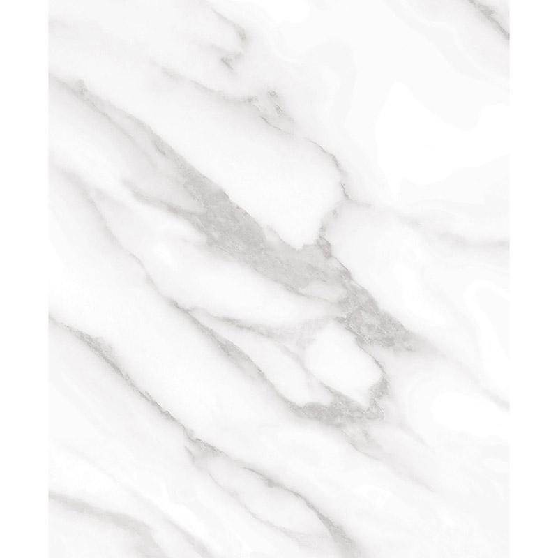 011-NS814-COVER-122X300-8435617988366.MAIN