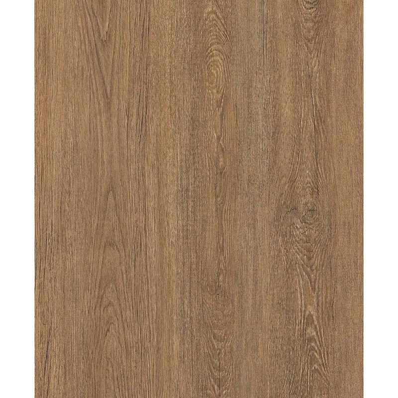 028-PZ901-COVER-122X300-8435617987611.MAIN